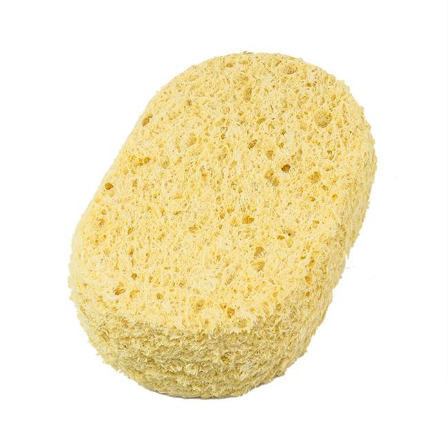  Sea Sponge for Bathing - 100% Natural - 4” (Large) - Soft,  Sensitive and Eco-Friendly - Especially Suited for Adults - Natural Sponge,  sea sponges for Bathing, Natural sponges for Bathing : Beauty & Personal  Care