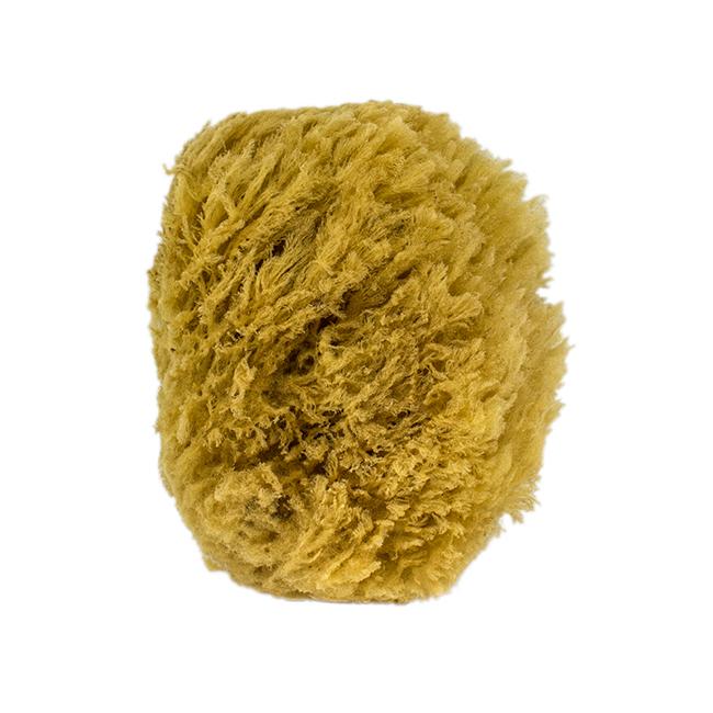 The all-natural sea sponge, natural sea sponge