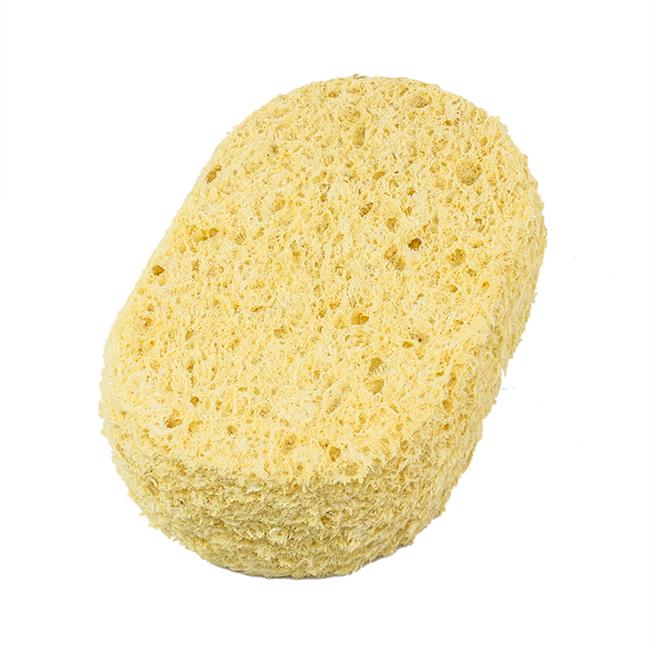 The big squeeze body sponge